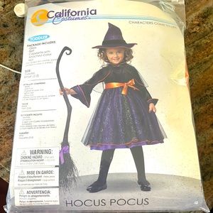 Hocus Pocus witch costume